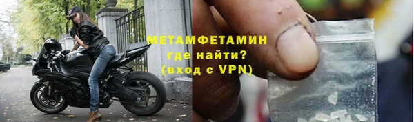 прущие грибы Гусев