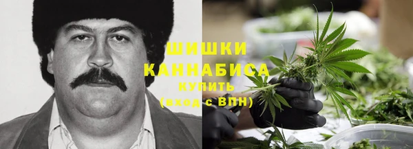 прущие грибы Гусев