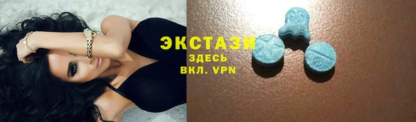 прущие грибы Гусев