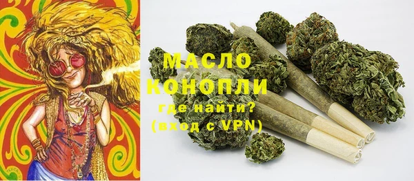 прущие грибы Гусев