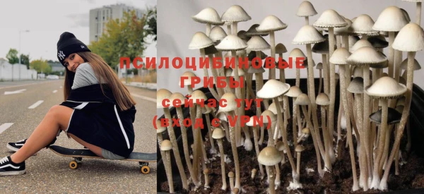 альфа пвп Гусиноозёрск