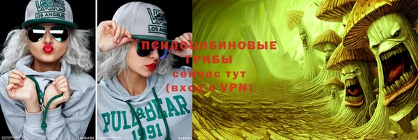 альфа пвп Гусиноозёрск