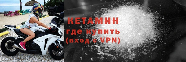 прущие грибы Гусев