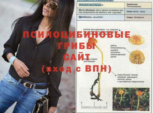 прущие грибы Гусев