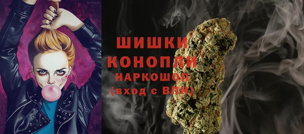 крисы Гусь-Хрустальный
