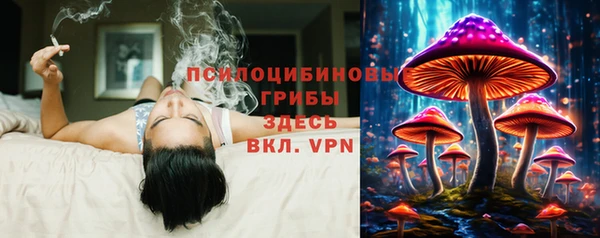 крисы Гусь-Хрустальный