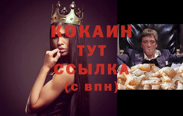 прущие грибы Гусев