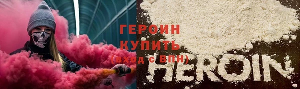 прущие грибы Гусев
